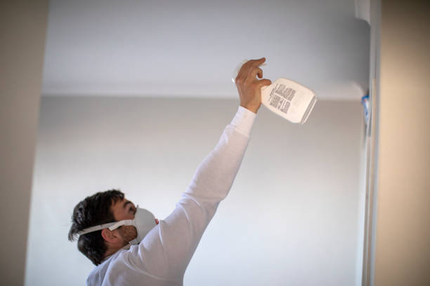 Best Office Mold Removal Services  in Duncan Falls, OH