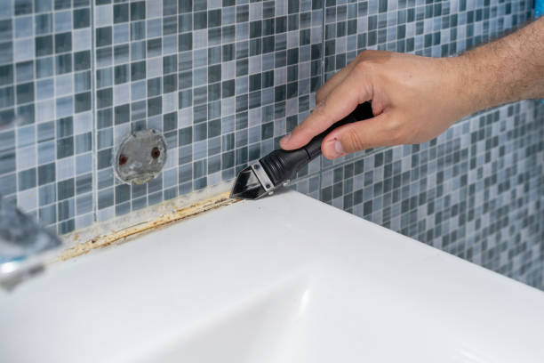 Best Fast Mold Removal  in Duncan Falls, OH