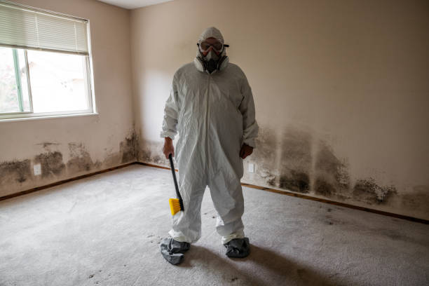 Best Attic Mold Removal  in Duncan Falls, OH